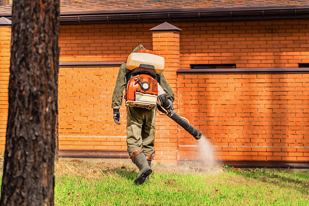 Trusted Fumigation Services service in Warm Springs, CA - Nex Pest Control